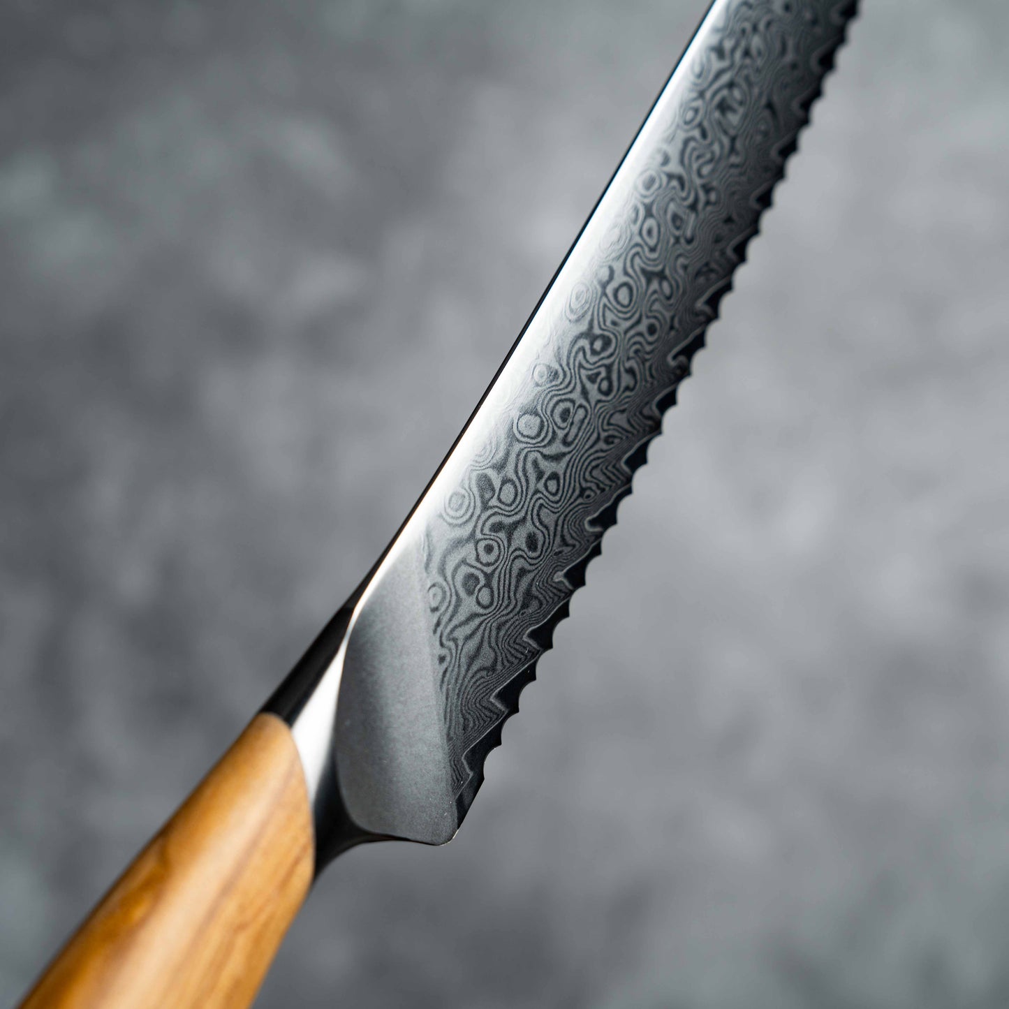 Couteau à pain Noseto Batsu 210 mm, 73 couches d'acier Damas avec manche en bois d'olivier
