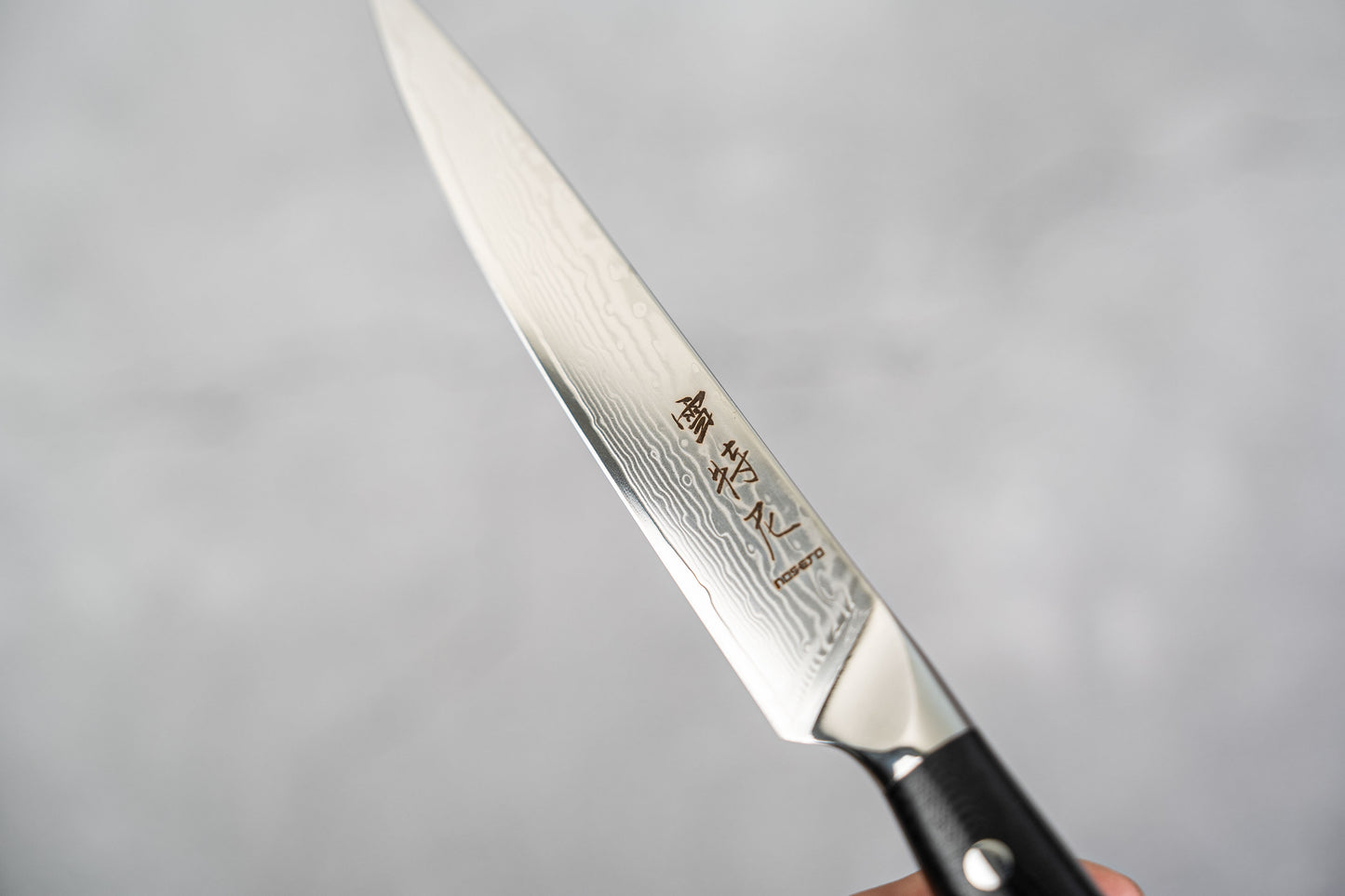 Noyau en acier Damas G10 VG-10 67 couches Petit manche occidental 150 mm