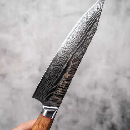 Noseto Modern Gyuto 210mm AUS10 73 Layer Damascus with Olive Wood Handle